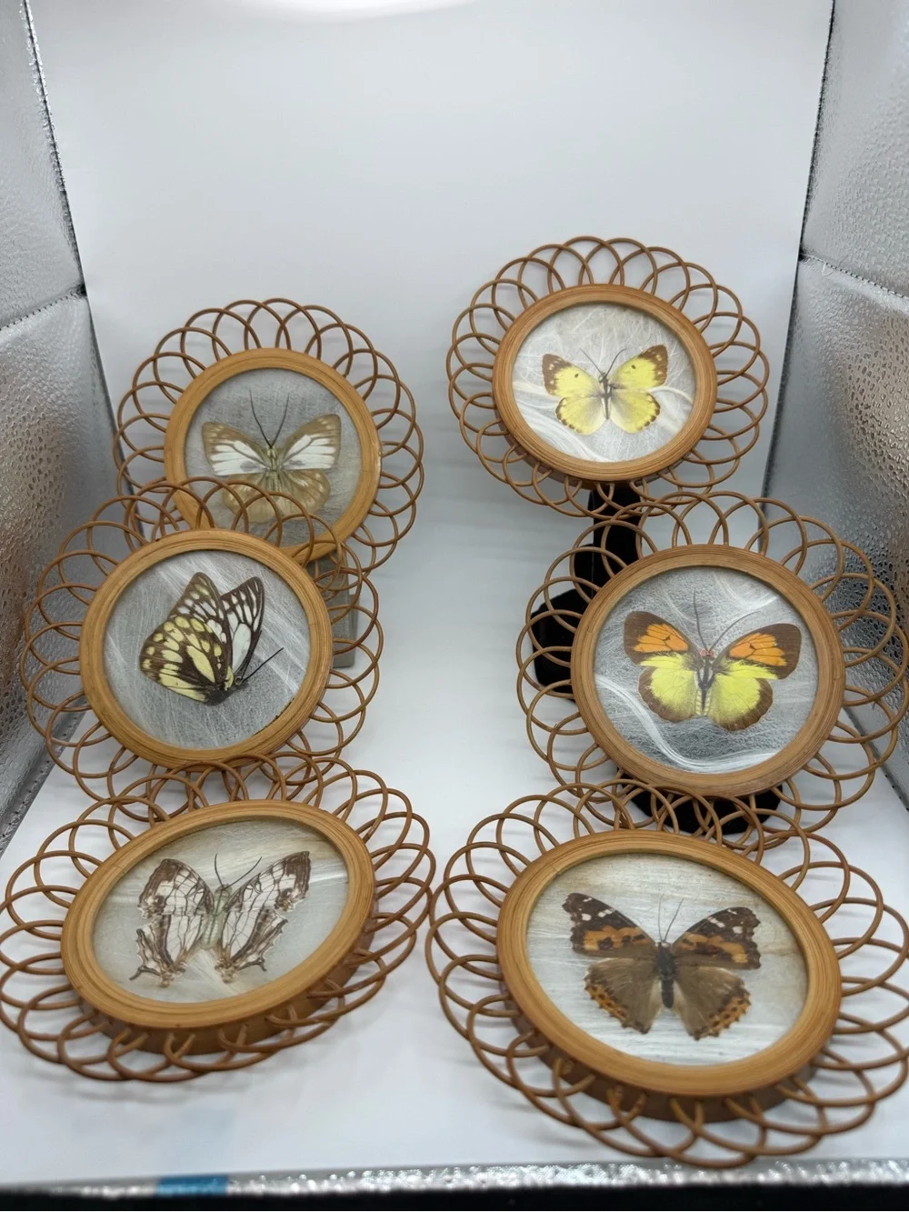 Vintage Set of 6 Real Butterfly Glass Top Rattan Coasters Tropical Decor
